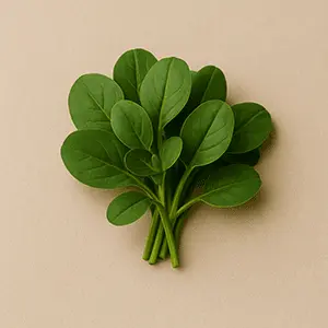 Synadentix Ingredient