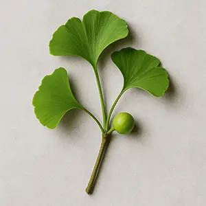 Synadentix Ingredient